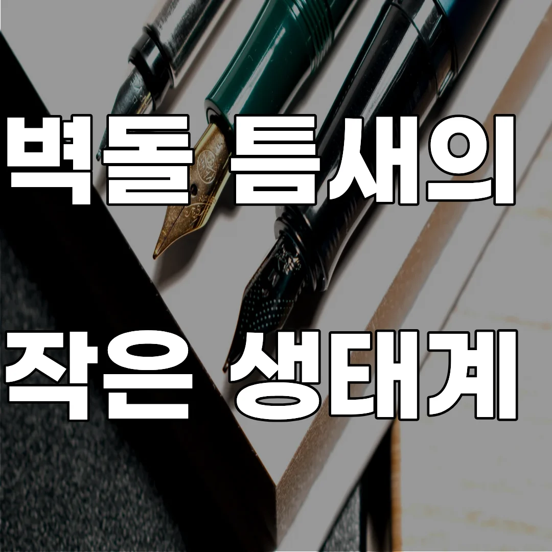 보도블록 벽돌 틈새 이끼와 곰팡이의 공존 패턴 및 도시 미세 생태계 종 다양성 관찰 이미지