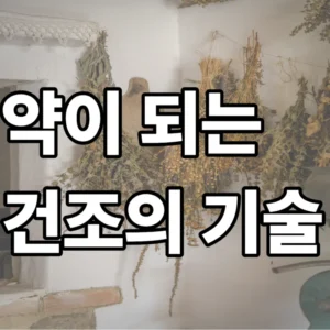 지역 약초 재발견 리포트의 핵심인 성분 보존 건조법을 시각화하기 위해 배경 투명도를 낮추고 "약이 되는 건조의 기술" 타이포그래피를 적용한 썸네일