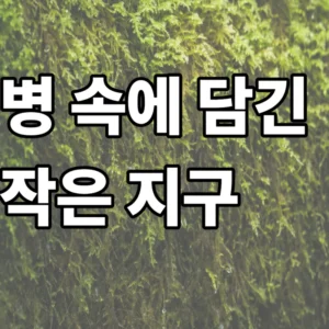 실내 이끼 테라리움 내부에 최적의 습도가 유지되어 이끼 표면에 미세한 수분이 맺힌 생태계 시스템 데이터 수집 장면에 대한 이미지