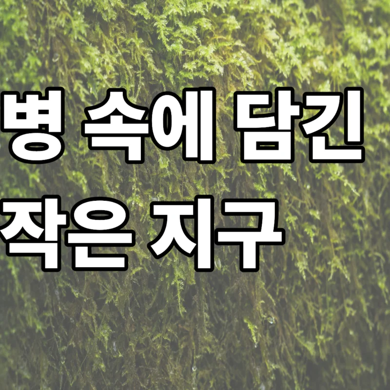 실내 이끼 테라리움 내부에 최적의 습도가 유지되어 이끼 표면에 미세한 수분이 맺힌 생태계 시스템 데이터 수집 장면에 대한 이미지